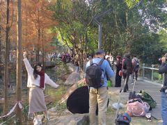 -梅峰山地公园