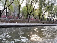 -皇家御河游(紫御湾码头)