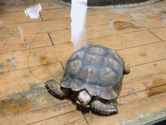 -石家庄市动物园