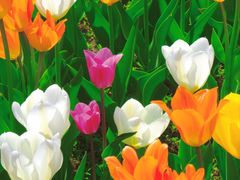 -北京植物园南门售票处