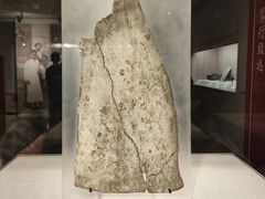 -北京大学赛克勒考古与艺术博物馆