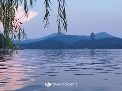 -柳莺湖上·湖景餐厅·江南菜(西湖店)