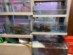 水产区-樟树底(胜利河美食街店)