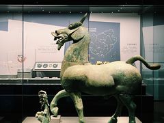 -广西壮族自治区博物馆