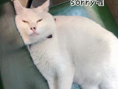 -作咖啡(养育巷店)