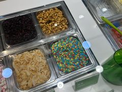 -Salud撒露欧洲冻酸奶(蓝色港湾店)