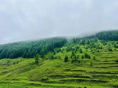 -云座·时光·观景咖啡厅(五爷庙店)