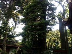 -峨眉山报国寺