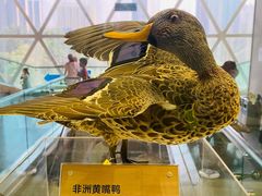 -陕西自然博物馆