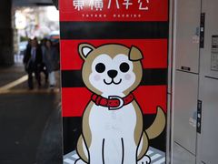-涩谷区