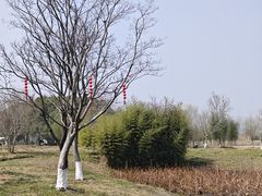 -良渚古城遗址公园