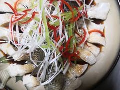 -好孕妈妈月嫂育儿嫂(锦江店)