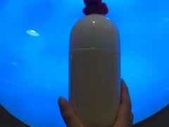 -兰熊鲜奶(西直门凯德mall店)