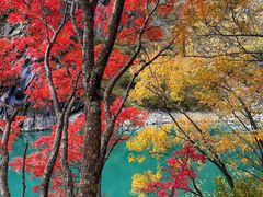 -叠溪松坪沟景区