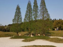 -南京银杏湖乐园