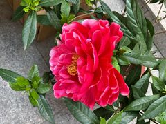 -何适山庄 ·可团建(水长城P2停车场店)