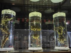 -广东中医药博物馆