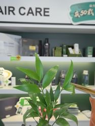 -章光101防脱养发荟