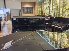 -柏斯琴行(汾阳店)