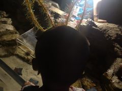 -沈阳海洋探索中心