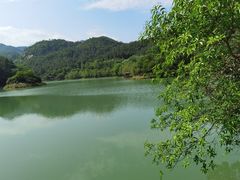 -广州白江湖森林公园