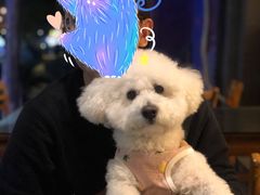 景观位-三林民间传菜