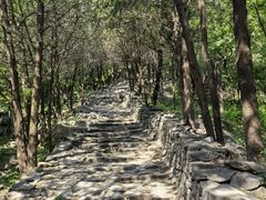 -阳台山自然风景区