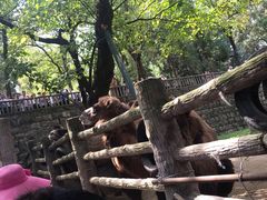 -昆明动物园