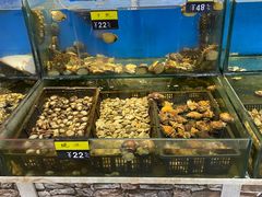 -黑石礁酒楼·海鲜(黑石礁店)