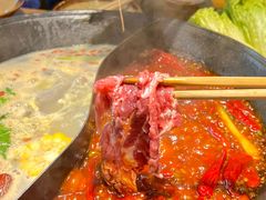 -阳阳老火锅(小南门店)