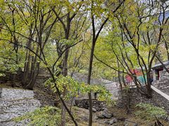 -北京上方山国家森林公园