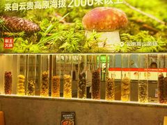 -菌自在·云南野生菌火锅(长安万达店)