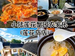 -小陆莲花蟹园农家乐(莲花岛店)