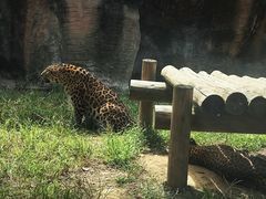 -杭州野生动物世界