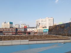 -海河外滩公园