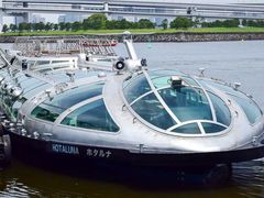 -台场海滨公园船码头