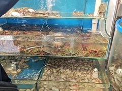 -仙螺岛海鲜自助餐厅(总店)