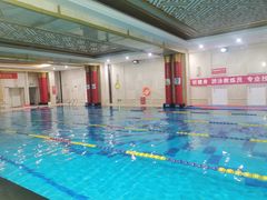 -飞鲨游泳培训学校