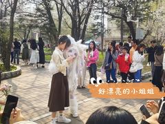 -吉林大学(南岭校区)