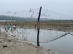 -北海金海湾红树林生态旅游区