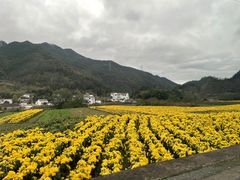 -塔川景区