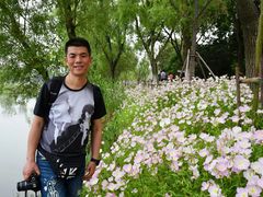 -昆山城市生态森林公园