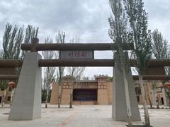 -金塔沙漠胡杨林景区