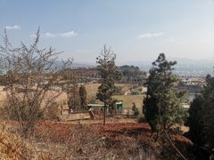 -长虫山生态公园风景林