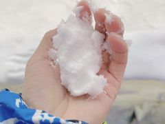 -世界之窗阿尔卑斯冰雪世界