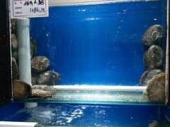 水产区-品味居·首店·大连鲜活海鲜大连菜(东港店)