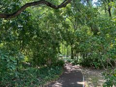 -上海交通大学(闵行校区)