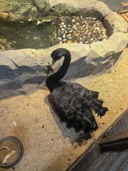 -酷嗒动物文化乐园(cutezoo西溪乐天城店)