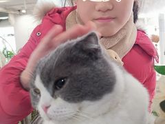 -共舞时光猫咖·狗咖(新街口店)