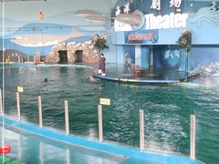 -苏州海洋馆